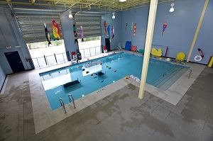 Big Fish Small Fish Swim School